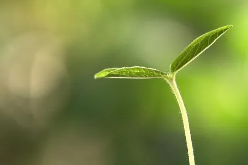 诺亚舟云上课堂 | 疫情下的生命教育